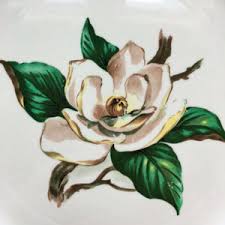 Image result for Magnolia White 1980 Amos and Sons