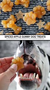 Low fat/low protein/low phosphorus dog cookies. Pricey Dogs Pattern Dogfoodie Dogtrainingwalking Dog Biscuit Recipes Homemade Dog Cookies Dog Cookies