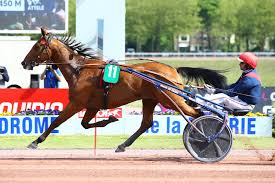 Cette ?preuve les chevaux n'ayant pas, dans les 12 mois pr?c?dant la course, ?t? Victimes D Un Choc Frontal Aubrion Du Gers Et Cyrano Du Pont Se Sont Eteints Trot Courses Accueil Leperon Fr