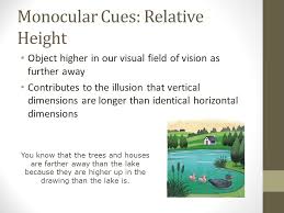 How do i prevent the content from increasing container's width when the container's width is set to 100%? Sensation And Perception Ppt Download