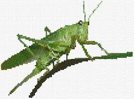 Original cross stitch pattern designs. Grasshopper 39 333 Cross Stitching Free Cross Stitch Designs Cross Stitch