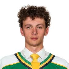 Local High School Football Capsules