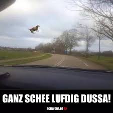 Bruddal Wies Duad Luft Wind Windig Luftig Sturm Schwabisch Schwaben Schwoba Wurttemberg Landle Schwabische Spruche Lustige Bilder Whatsapp Lustig