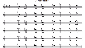 The rowan tree (sorbus aucuparia) is one of the sacred trees of wicca/witchcraft and of old was a favoured tree of the ancient druids. Teach Yourself Bagpipes