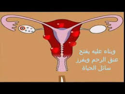 مكان التحميل كتاب الأوضاع بالصور