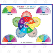 animal chakra pendulum charts dog cat or horse