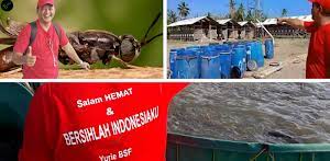This application will be very useful for those of you who want to cultivate bsf maggot. Budidaya Maggot Bsf Latest Version For Android Download Apk