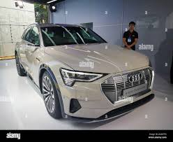 Image result for Siam Beige 2020 Audi
