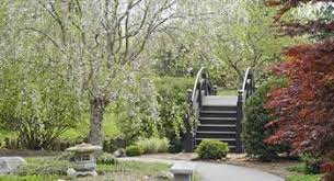 Romance In The Garden At Mizumoto Japanese Stroll Garden