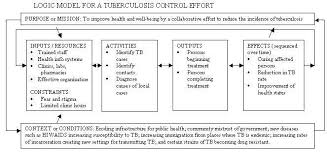 Chapter 2 Other Models For Promoting Community Health And Development Section 1 Developing A Logi Theory Of Change Program Evaluation Education Inspiration