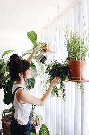 They have been working on their secret double album, once upon a time in shaolin, since 1997. It S No Secret We Love Adding Plants To Our Indoor Spaces Every Room In Our Apartment Is Full Of Everything From Small Indoor Plant Care Plants Hanging Plants