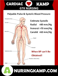 Pin On Nursing Pearls
