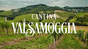 Su tripadvisor trovi recensioni di ristoranti a valsamoggia, raggruppati per tipo di cucina, prezzo, località e altro. Cantina Valsamoggia Home Facebook