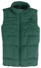 The North Face Scarab Green Heather Rhea Down 550fp Vest Size 6 S Listed By Squirrelparty Tradesy