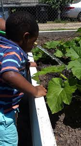 Profile for The Garden of Champions