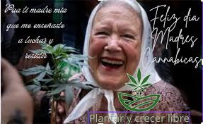 Plantar y Crecer Libre