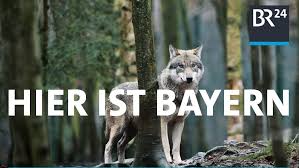 Februar gibt es nur alle vier jahre. Br24 Hier Ist Bayern Br24