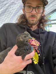 We have 2 Light Brahma roosters born in March UFD.