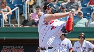 Dogs Take Two On Tuesday In Binghamton Portland Sea Dogs News