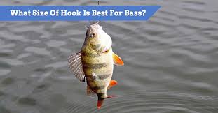 What Size Of Hook For Bass Fishing Guide To The Best For