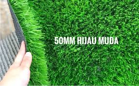 Sudah saatnya untuk di manfaatkan dengan baik, misalnya dengan membuat taman mini. Kenali Jenis Rumput Bagi Taman Rumah Anda Amd Grass
