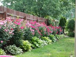 Flower garden along fence line small garden ideas find how garden enthusiasts around the country have developed wonderful gardens in little areas. 38 Lovely Front Yard And Backyard Landscaping Ideas For Your Home Privacy Fence Landscaping Backyard Landscape Architecture Landscaping Along Fence