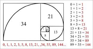 Image result for golden ratio in music