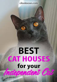 The Best Cat Houses For Your Independant Cat Oliveknows Cats Cool Cats Cat House
