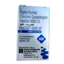 Liquid Hucog 5000 Hp Injection For Hospital Rs 250 Vial Nk Pharma Id 20883487888
