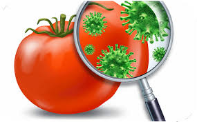 Course of Food Hygiene | Redtomatoes