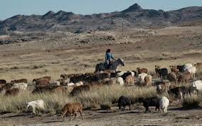 نتیجه جستجوی لغت [nomadic] در گوگل