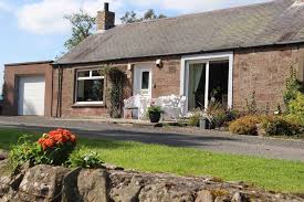 Image result for Glenniea