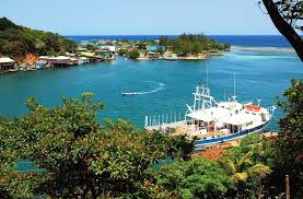 En Las Islas De Bahia Mi Familia Y Yo Nadamos En El Mar Mi Mama Compueste Conchas En El Playa Islas Honduras Bahia