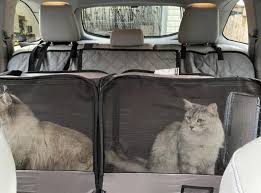 Read the best cat carrier pouch reviews to make an informed decision. 15 Of The Best Pet Carriers You Can Get On Amazon