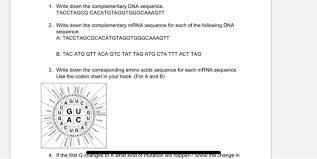 Solved 1 Write Down The Complementary Dna Sequence Tacc
