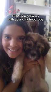 my childhood dog crossed the rainbow bridge today ❤️‍🩹 thank you for being  the best first dog ever. we’re so lucky we got 15 years with you. we know  you stayed as long as you could. we love you cocco ...