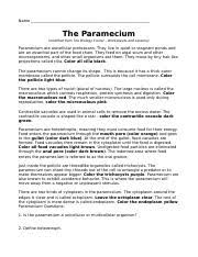 Paramecium coloring answers labled template. Paramecium Worksheet Doc Name The Paramecium Modified From The Biology Corner U2013 Worksheets And Lessons Paramecium Are Unicellular Protozoans They Course Hero
