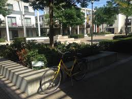 Image result for le medi rotterdam