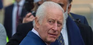 King Charles 'Nonsense' Portrait Scheme Not Popular With British Public