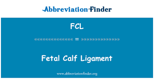 Your doctor will ask you to describe how the knee was injured, whether you have had other knee injuries and how your knee has felt since the. Fcl Definition Fetal Calf Ligament Abbreviation Finder