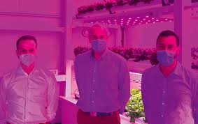 The crops were trialed for 14 months with two japanese customers fully equipped with vertical farms and horticultural led lighting by innovatus inc., one of the world's largest vertical farms. Novagric Signify And Etifa Shows The Importance Of Lighting In Vertical Farming Systems Ugb