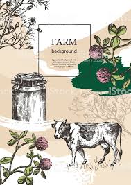 Download Sample Cover For Agricultural Brochure Milk Can Cow And Meadow Vector Illustration Farm Vector Free Vector Art