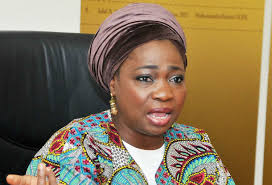 NIDCOM Boss Calls For More Diaspora Investment In Africa