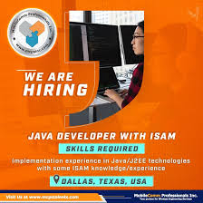 Java Developer Job In The Tx Usa Business Analyst Engineering Activities Job