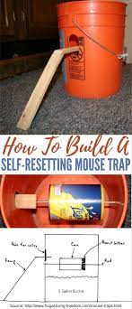 Bucket mouse trap,the best mouse trap i've ever seenthanks for watching.please like ,share ,subscribe and how to make mouse trap mouse trap diy building a better mouse trap using video surveillance mouse trap with water cans and wire mesh / best way to make homemade mousetrap. How To Build A Self Resetting Mouse Trap Shtfpreparedness Mouse Traps Bucket Mouse Trap Pest Control