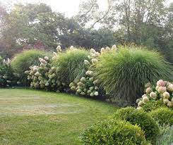 This beauty requires minimal effort. Landscaping With Ornamental Grasses The Happy Housie