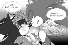 The Boys Taking A Shower At Amy S House And Sonic Happens To Walk Right In After Shadow Is Done Headcanon Shadow Is Liv Sonic Sonic And Shadow Sonic Fan Art