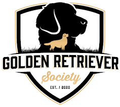 Download high quality royalty free golden retriever clip art from our collection of 65,000,000 royalty free clip art graphics. Golden Retriever Society The Site For Golden Retrievers
