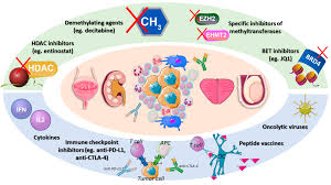Jonas barros eriksson is on facebook. Ijms Free Full Text Targeting The Immune System And Epigenetic Landscape Of Urological Tumors Html
