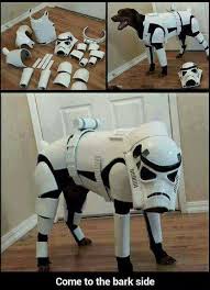 Awwww Not Sure If The Dog Could Move In All That Armor But It Makes A Great Picture Star Wars Humor Star Wars Memes Star Wars Art